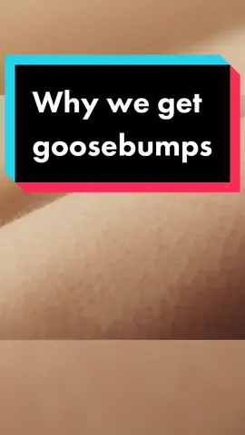 What gives you goosebumps? #humanbodyfacts #goosebumbs