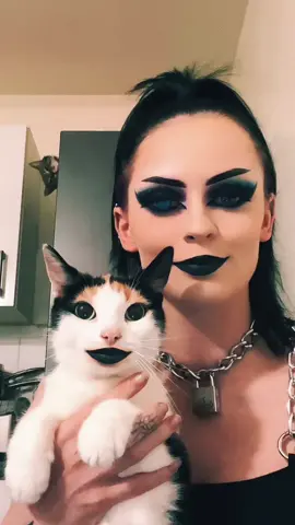 Minnie likes metal ft another cat in the distance | IG: _blacksoulofficial #cats #makeup #alt #purple