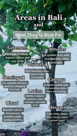 Each area is so unique 🤍✨🌿 #balitok #balitips #travelbali #baliindonesia #wheretostaybali #canggubali #uluwatubali #ubudbali