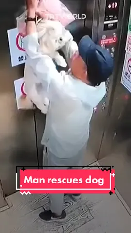 A dog whose leash got stuck in moving elevator doors was saved by a man in Tonghua, China, on July 1. After realising what could happen, the man immediately pulled the leash and pressed the alarm, saving the dog before it was too late.