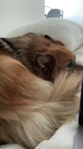 trying to get theo out of bed