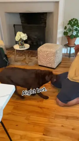 She really said “watch this” 😂😂 #dog #woof #Home #YEET