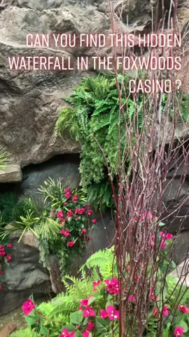 Are you up for a challenge? Tag #Foxwoods if you can find this hidden selfie spot 👀 #challenge #selfie #foxwoods #foxtower #selfiechallenge #foxwoodsresortandcasino  #PlutoTVIsFree #trending