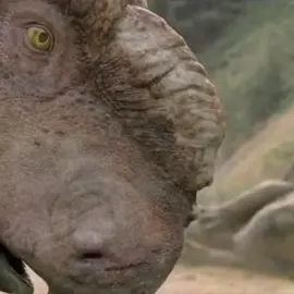 🥶💀 #walkingwithdinosaurs #dinosaur #dinosaurs #gorgosaurus #pahyrinosaurus #edit #fypシ #foryou