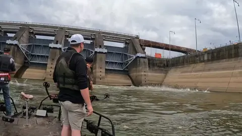 ❤️ Them jumping carp 🔥#firehousebowfishing #bowfishing #carp #jumpingcarp #asiancarp #barkleydam #bowfish #dropabeat #throwback #bowfishinglife #bowfishingzone #outriggeroutdoors #carp #outdoorsman