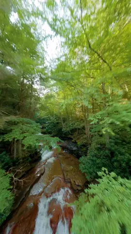 River cruising in West Virginia #fpvpilot #dronestagrsm #westvirginia