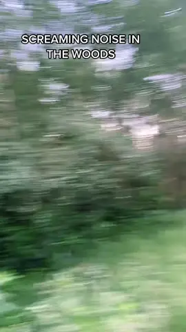 #skinwalkers #animal? #creepywoods #twillight #skinwalkervibes #skinwalker #scarytiktoks #scary