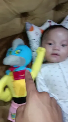 Selamat hari raya idul Adha buat sodaraku yg merayakan. #fypシ #wouldyouloveyou #ekstrabantuin #MakeNightsEpic #Farlight84Smash #baby #babymama #anak #anakayahbunda #humor #KeepKalem #babylove #PediaSureGrowth #comedу #viral #fyp