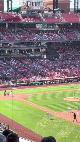 Hell of a play! #cardinalsbaseball #stlouiscardinals #MLB