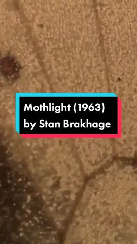 attracted to these camera-less films like a moth to a light 🦋🎞️ #filmtok #experimentalfilm #experimentalart #artistsoftiktok #filmmaker #celluloid #avantgarde #artsandcrafts #movierecommendation #reviewfilm #fyp #foryou