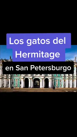 #hermitage #zar #palacio #gatos #gatostiktok #gatosdetiktok #gatosgraciosos #nomedigastere #circulodemedianoche #fyp #fypシ #xyzbca #viral #historia #culturatiktok