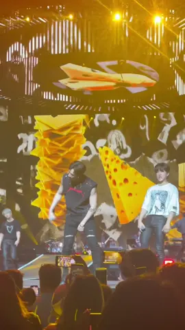 what do they feed felix before preforming cheese 😭😭 MAN IS GROWLING #felix #skz #straykids #maniactour #straykidscheese