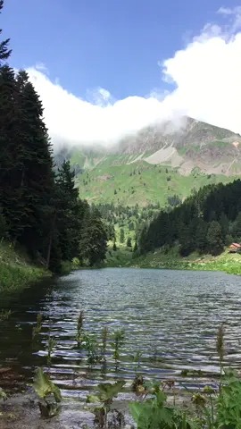 Burası yurt dışı değil burası bizim köy artvin şavşat balık gölü pınarlı köyü içerisinde bulunan bu yer kamp ve konaklamak için imkanlara sahip ve giriş ücretsizdir #keşfet #reels #doğa #karadeniz #takip #artvin #şavşat karadenizkızı