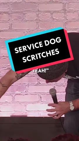 im going to pet your dog