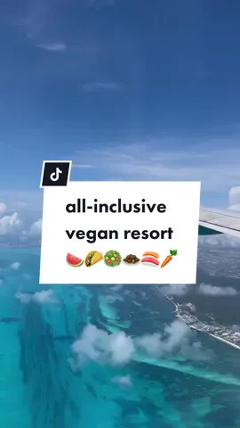 Your dream healthy vacation is at Palmaia in Playa Del Carmen, Mexico ✈️📍🍉🥗🌮 link in bi0 to book!! Discount: HEALTHYGIRL #vegan #healthyfood #travelgoals