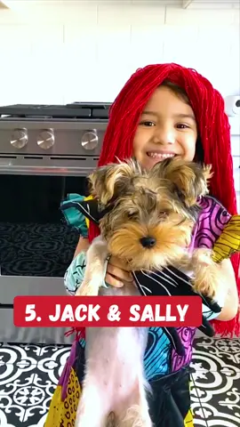 Which one is your FAVORITE?! 🥰1. Mickey & Minnie2. Lilo & Stitch3. Baby Jack-Jack & Violet4. Maleficent & Raven Diablo 5. Jack & Sally #diydogcostume #dogcostumes #dogscostume #disneydiy #disney #dogcostumeideas #halloweencostumeideas #halloweendogcostume #doghalloweencostume #disneydog #disneydogs #dogtiktoktrend