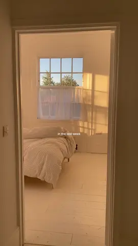 sun soaked