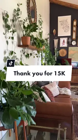 Literally dont make me leave my house pls and thanks. 😂 But seriously tysm for 15K! I love this little slice of the internet! #bohodecor #livingroominspo #mybohojunglebook #houseplantlover