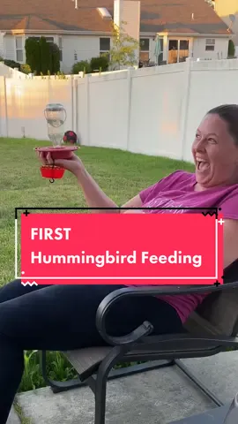 I FED MY FIRST HUMMINGBIRD!!!!!! #hummingbird #bucketlist