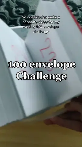 100 envelope challenge |week#3|