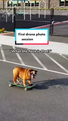 Chowder looked a little irritated by the drone but wasn’t going to let anything spoil his fun skate session😂. We loved seeing this view. #drone #dronevideo #skate #Skateboarding  #skateboard #skaterboy #familytime #FamilyFun #Summer