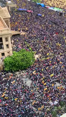 Srilanka protesters captured president house….