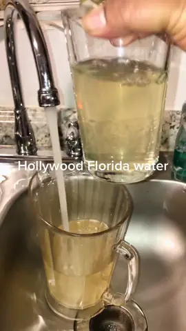 #dirtywater #hollywoodFL #hollywood #filthywater #tapwater  why is the tap water dirty?