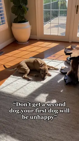 Not sure if she is actually happy or she just deals with his sh**t 😂