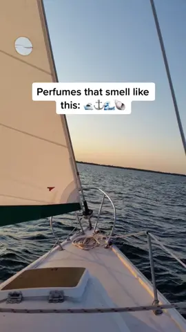 It’s finally time for one of my favorite perfume categories: salty ocean scents 🌊🐚 Which of these would you take with you on a boat trip? 🛥⚓️ #perfume #perfumetok #perfumesinemojis #perfumetiktok #summerperfume #summerperfumes #summerfragrance #oceanperfume #perfumerecommendations #margielareplica #armaniperfume #jomalone #birkholz #perfumecheck #perfumetheme #fragrancetiktok #fragrance #fragrances #perfumes