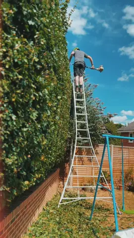 Big hedgecut ✂️🌱 using our mega  #henchmanladders this ladder is key! Gets us up high ⛅️ #hedgecutting #friday #fyp #gardeners #stihl #trim #uk #garden #bushtrim #heatwave #treesurgeon #ladders #nice #climber