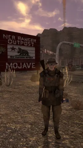 patrolling the mojave almost makes you wish for a nuclear winter #fallout #newvegas #mods