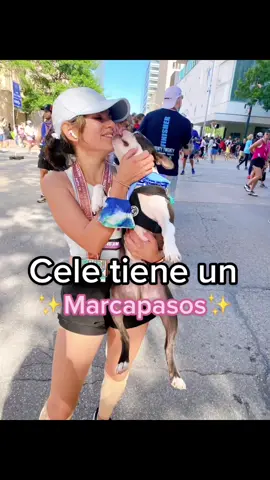 #greenscreen #greenscreenvideo mi loquito 🥰 #fypシ #bostonterrier #petlover #perros #perrostiktokers #latina #latinosenusa🇺🇸