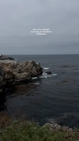 Welcome to northern California tiktok 📍 #travel #pebblebeach #california