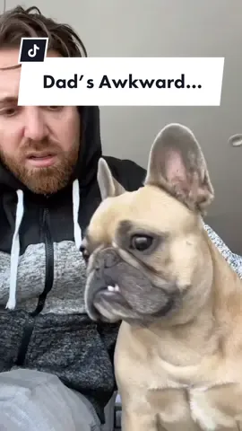 I dont know what to do with ny hands… #iloveyouman  #paulrudd #dogparent #dogsoftiktok #frenchiesoftiktok #awkward #jasonsegel #introverted @somefrenchienamedapollo @somefrenchienamedapollo