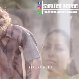 මතකද මන්දා මාව ඔබ කී හොදම කෙනාව ජිවිතයම ඔබ ගාව මතුසම්බන්ධයි අපේ කතාව #shalikamusic #achirashalika #trending