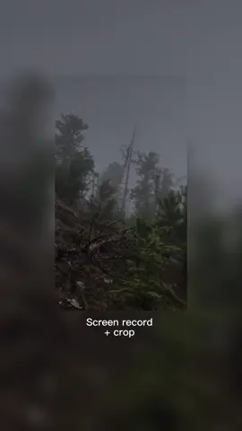Comment if you’d like me to use one of ur sounds <3 #woods #forest #trees #grey #sky #cool #Love #vibes #autum #winter #cold #leafs #cropped #crop #backgroundvideo #edit #xcroppxedx