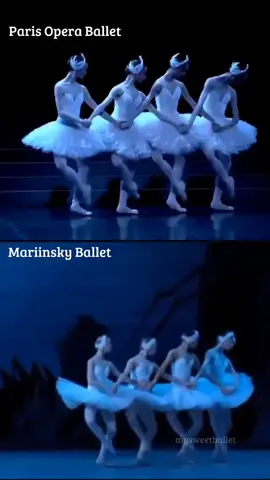 Little Swans 🦢🦢🦢🦢 always so fascinating🤍 who you like most? i have my favourite but I won't tell #littleswans #swanlakeballet #parisoperaballet #mariinskyballet #ballet #ballerinas #balleto #mysweetballet #fypシ゚viral #балет