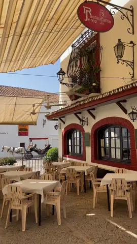 a spanish delight #rondaspain #travelspain #europetiktok #spain #marbella #marbellaspain #mediterranean #summernights #mediterraneandream #summer2022 #bestvacations #beautifuldestinations #spain2022 #islandlife #spanishlife