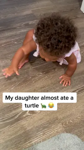 She almsot ate a turtle 🐢🐢😂 #tiktok #tiktok