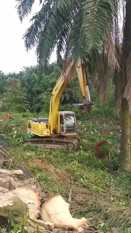 #sumitomo #malaysia #2022 #tiktok #excavator #operator #operator_excavator #fyp #foryou #foryoupage #follow #like #share #viral