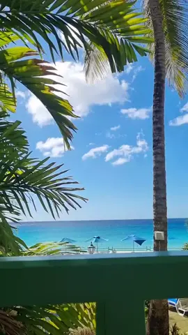 Letting Lana Del Rey romanticise my life bc it's mid-July... #barbados #barbadostiktok #barbados🇧🇧 #lanadelrey