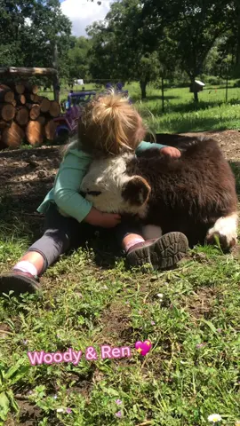 A girl and her baby cow 🐮 #hescute #ShowUrGrillSkillz #fyp #FilmTeyvatIslands #kidsoftiktok #cowlovers #cowgirl #cowsandkids #calf #farmlife #ranchtok #sosweet #animallover #toddlersoftiktok #animals