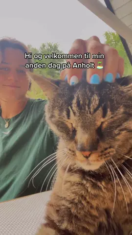Vil i gerne se mig prøve Hailey Biebers neglelakrutine? 💅 #anholt