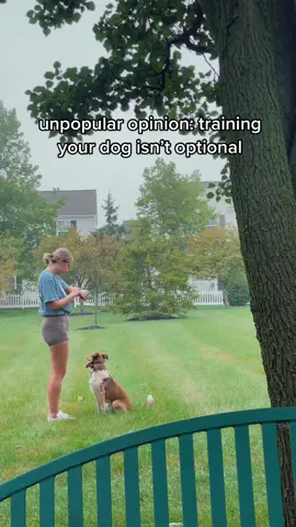 I am not saying your dog has to know fancy tricks, or be able to focus heel for 30 minutes straight. But basic manners, not dragging you down the street, coming when called, not jumping on counters, are all essential skills that every dog should know. #DogTraining #dogsoftiktok