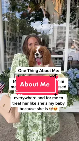 A little #aboutme 🐶 #kingcharlescavalier #kingcharlesspaniel #puppylove #puppy #puppiesoftiktok #puppies #puppydog #puppytiktok #dogs #dogsoftiktok #dogsofttiktok #doglover #doglove #dogmom