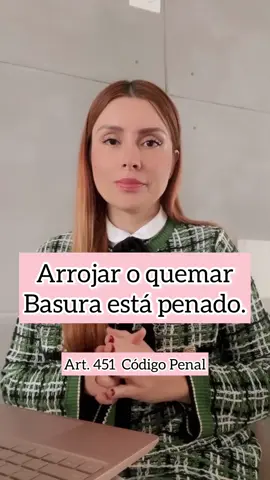Arrojar o quemar basura causando molestias a terceros está penado. #leyes #peru #abogada #derecho #videoviral #AprendeEnTikTok
