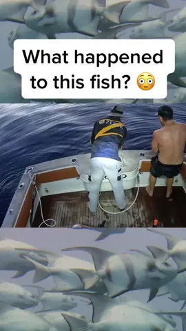 This gave me the chills 😭 #fishing #fishinglife #scary #scarystories #fypage