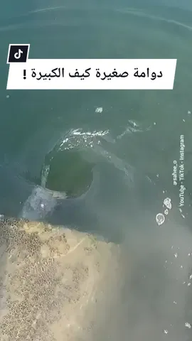 دوامة صغيرة وهذه قوتها كيف الكبيرة منها !! #دوامات #بحر #sahee_o