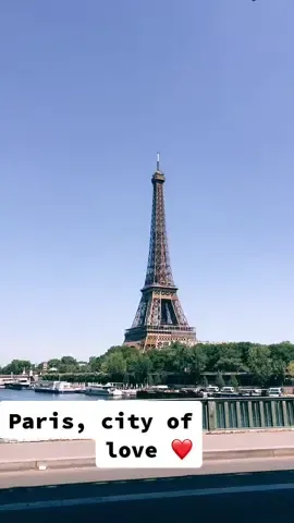 Je vais prendre le croque monsieur, s'il vous plait 🇫🇷🥖 #paris #traveltiktok #france #effeltower