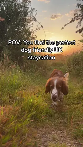 The perfect dog friendly ukstaycation … because dogs need holidays too!  #dogswelcome #ukstaycation #dogholiday #uktravel #dogfriendly